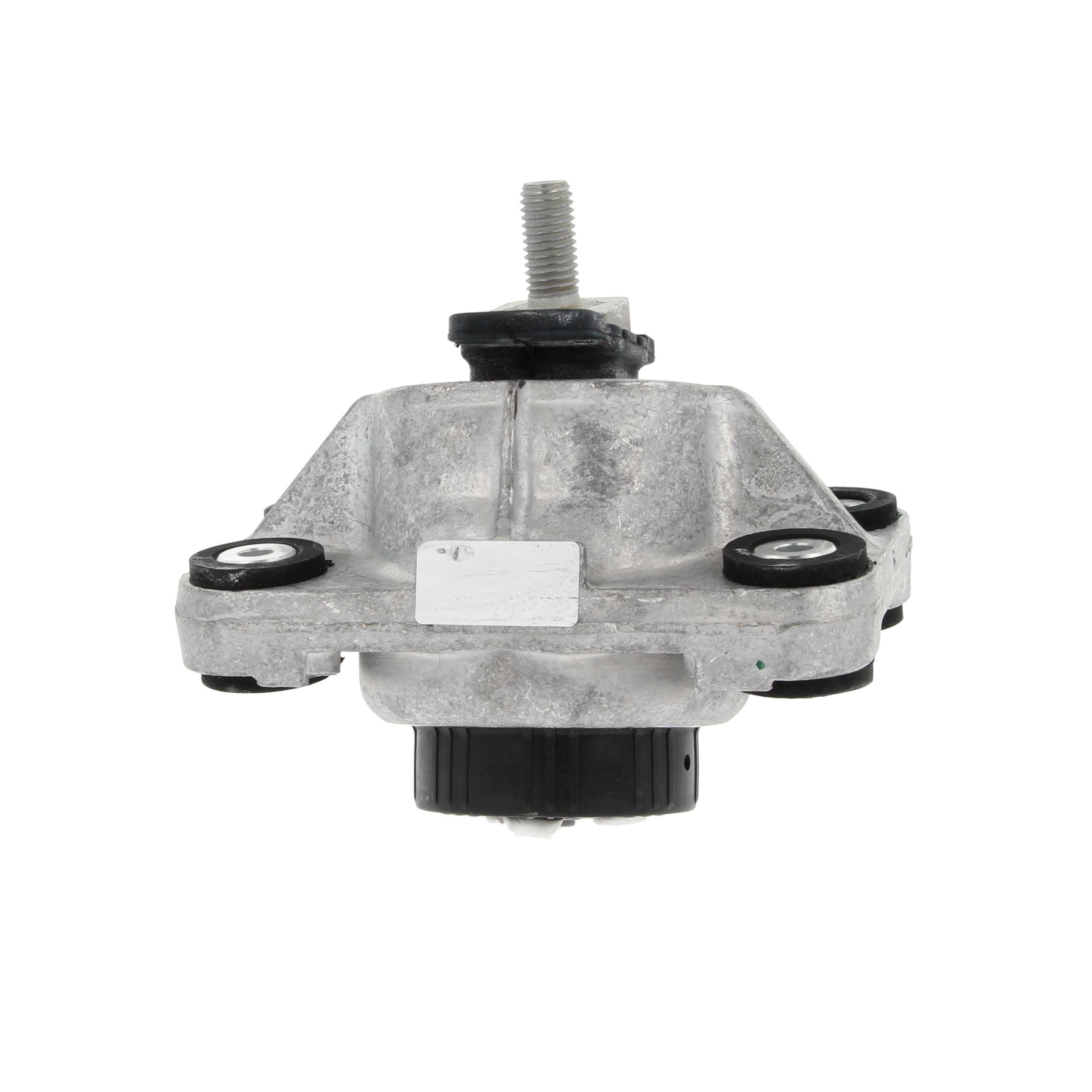 Variklio montavimas CORTECO 49417800