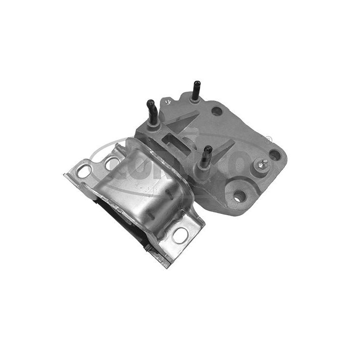 Variklio montavimas CORTECO 49432247