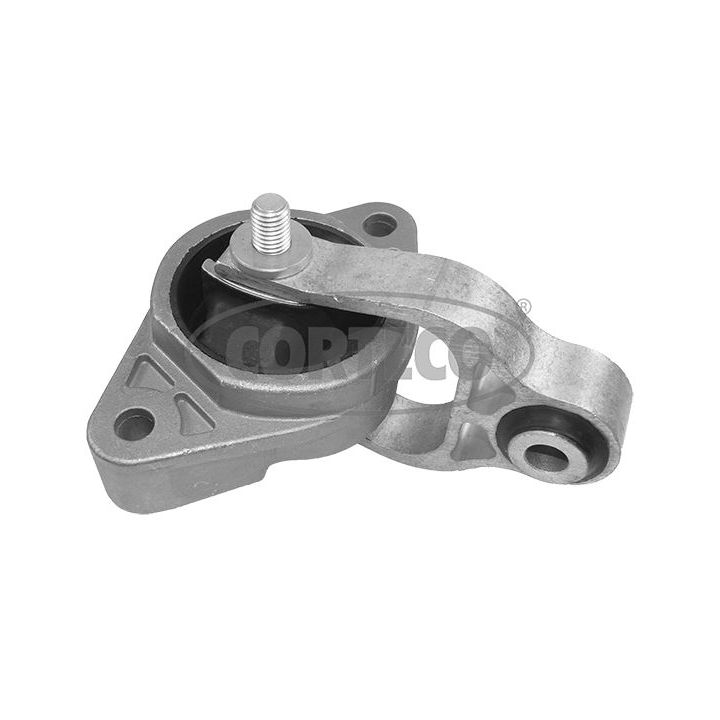 Variklio montavimas CORTECO 49432291