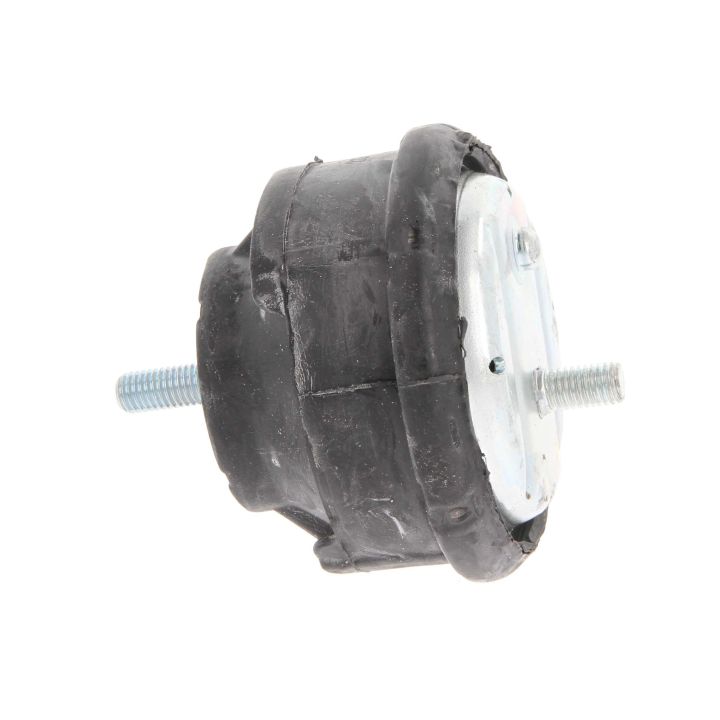 Variklio montavimas CORTECO 603645