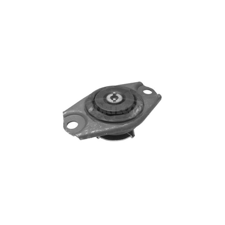 Variklio montavimas CORTECO 80000312