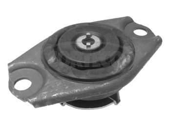 Variklio montavimas CORTECO 80000312