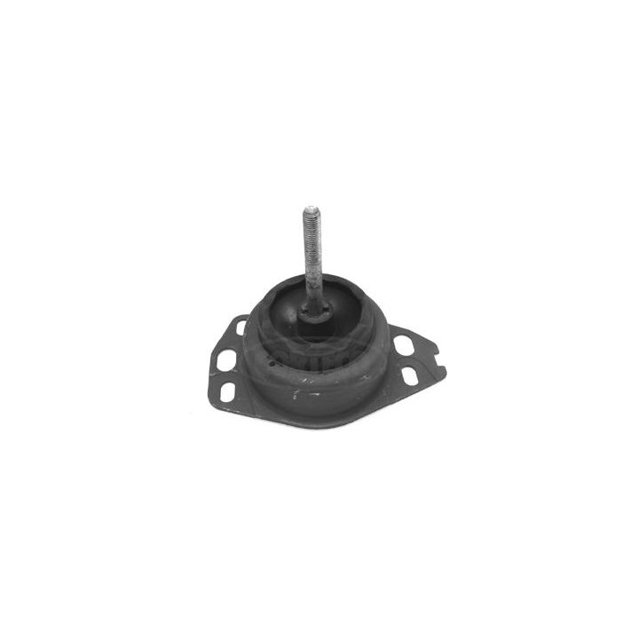 Variklio montavimas CORTECO 80000313