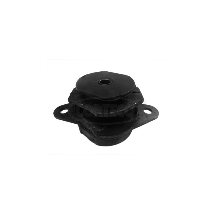 Variklio montavimas CORTECO 80001360