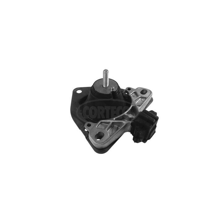 Variklio montavimas CORTECO 80001472