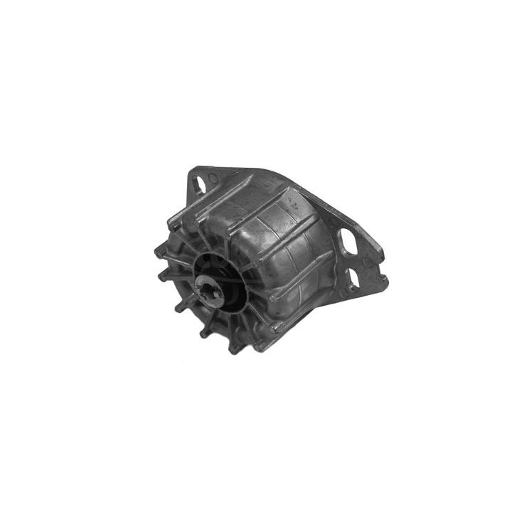 Variklio montavimas CORTECO 80001481