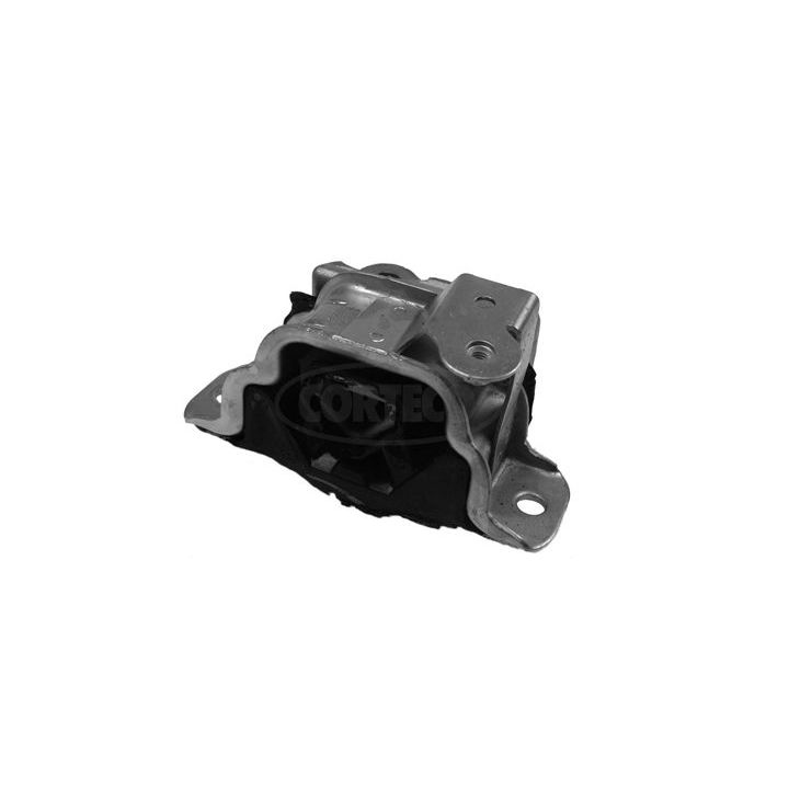 Variklio montavimas CORTECO 80001493