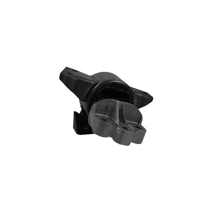 Variklio montavimas CORTECO 80001978