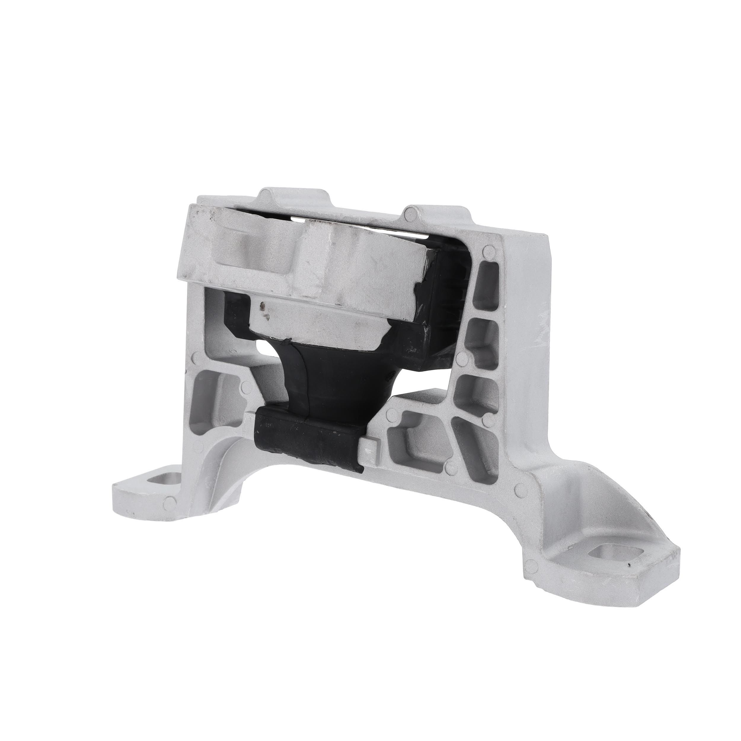 Variklio montavimas CORTECO 80005073