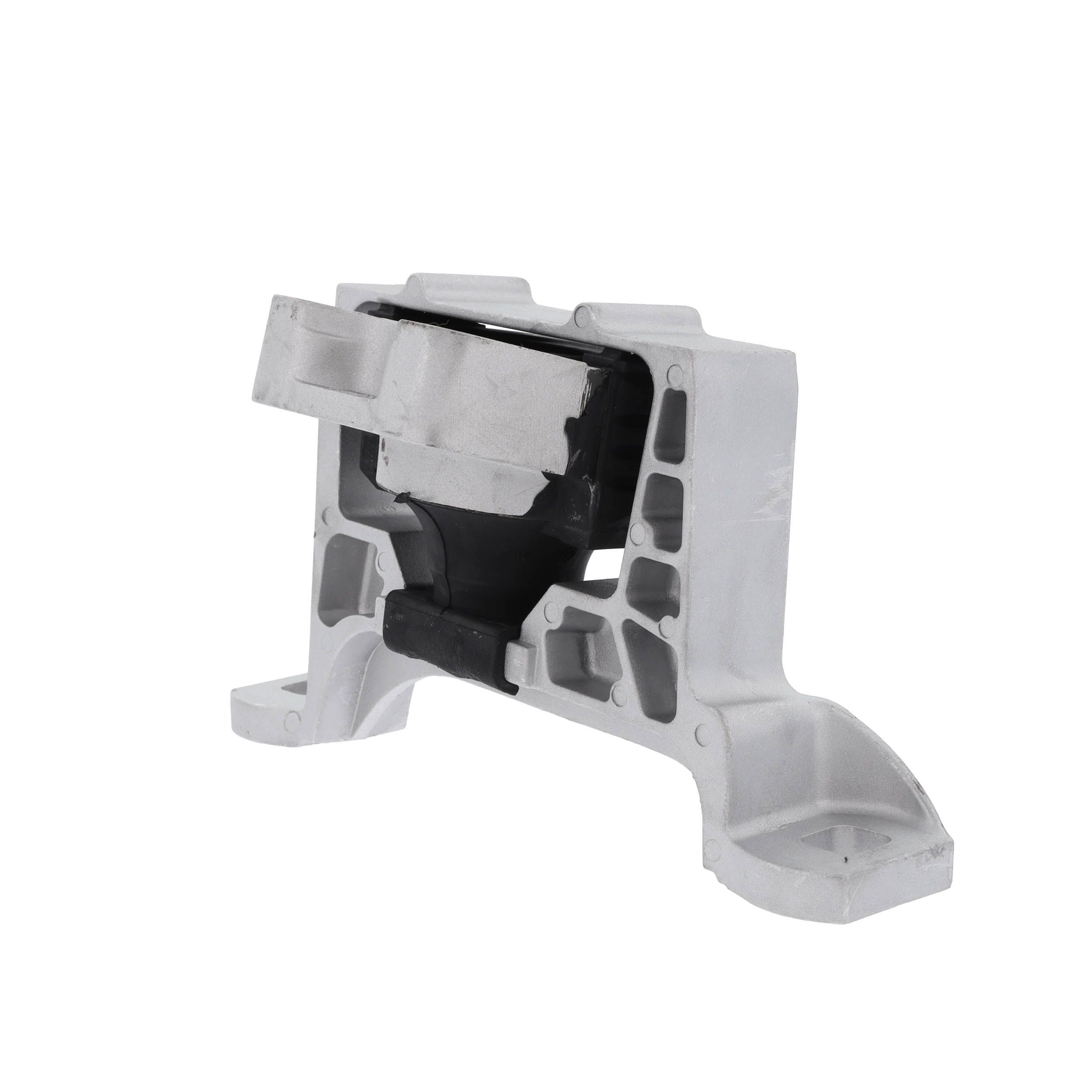 Variklio montavimas CORTECO 80005073