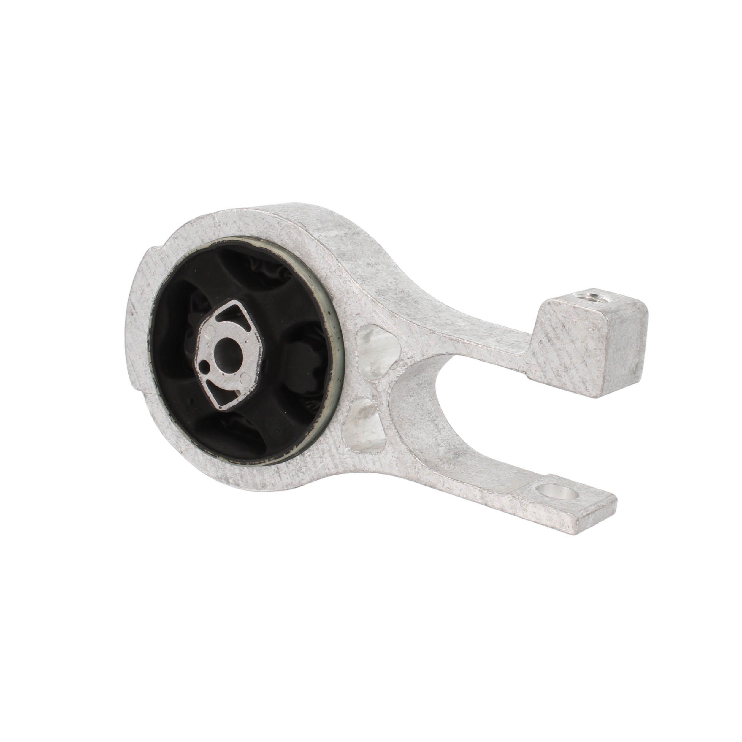 Variklio montavimas CORTECO 80005195