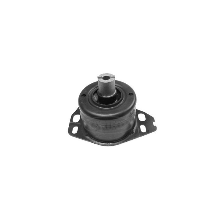 Montavimas, neautomatinė transmisija CORTECO 80000307