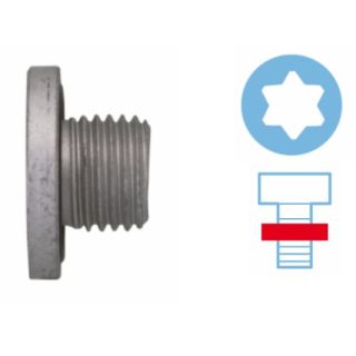 Alyvos išleidimo kaištis, alyvos karteris CORTECO 220110S