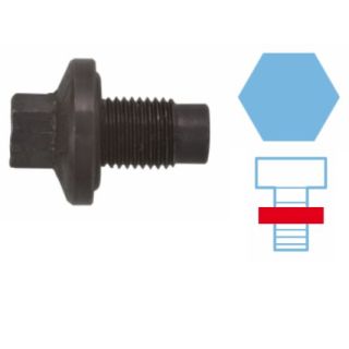 Alyvos išleidimo kaištis, alyvos karteris CORTECO 220112S