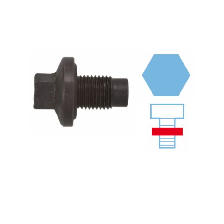 Alyvos išleidimo kaištis, alyvos karteris CORTECO 220112S