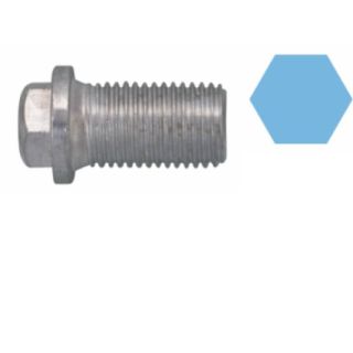 Alyvos išleidimo kaištis, alyvos karteris CORTECO 220120S