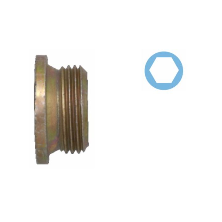 Alyvos išleidimo kaištis, alyvos karteris CORTECO 220133S