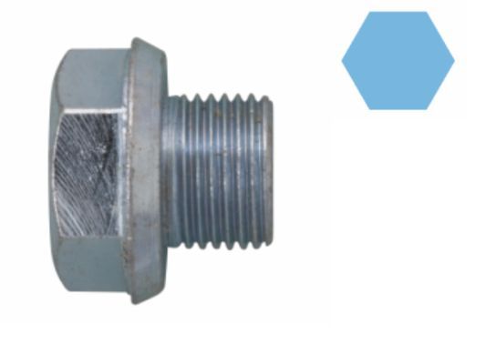 Alyvos išleidimo kaištis, alyvos karteris CORTECO 220143S