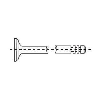 Angos vožtuvas CORTECO 551214B