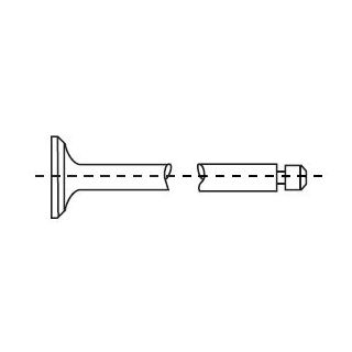 Angos vožtuvas CORTECO 552631B