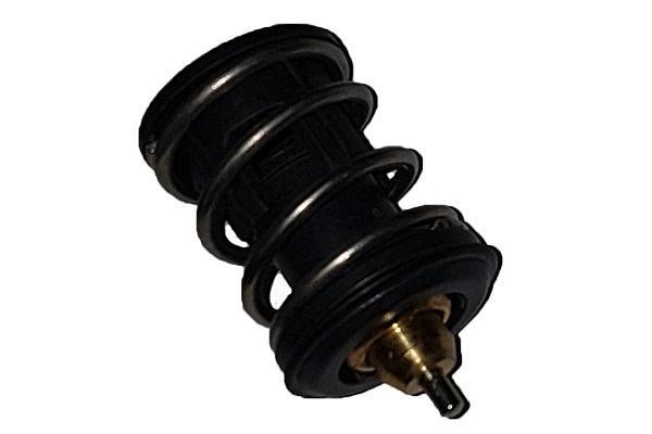Termostatas, aušinimo skystis BUGIAD BSP25071