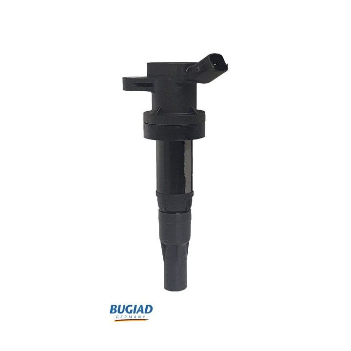 Ritė, uždegimas BUGIAD BIC19802