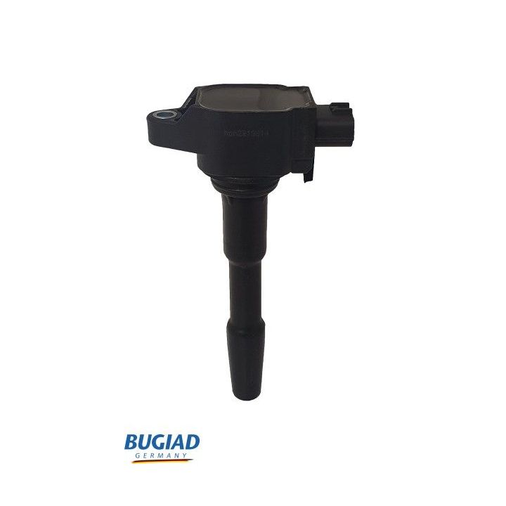 Ritė, uždegimas BUGIAD BIC19814