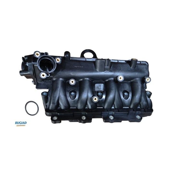 įsiurbimo kolektoriaus, oro tiekimas BUGIAD BIM17016