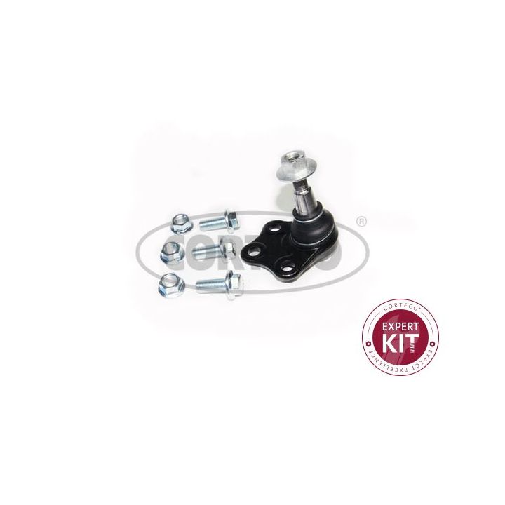 Šarnyras / girgždukas CORTECO 49107346