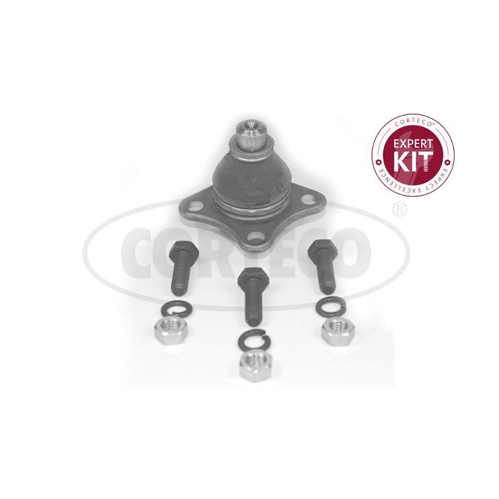 Šarnyras / girgždukas CORTECO 49395632