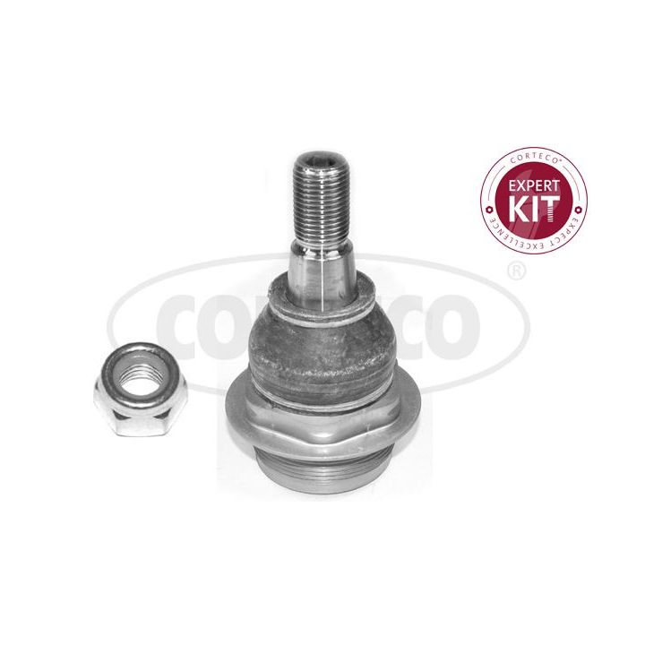 Šarnyras / girgždukas CORTECO 49395732