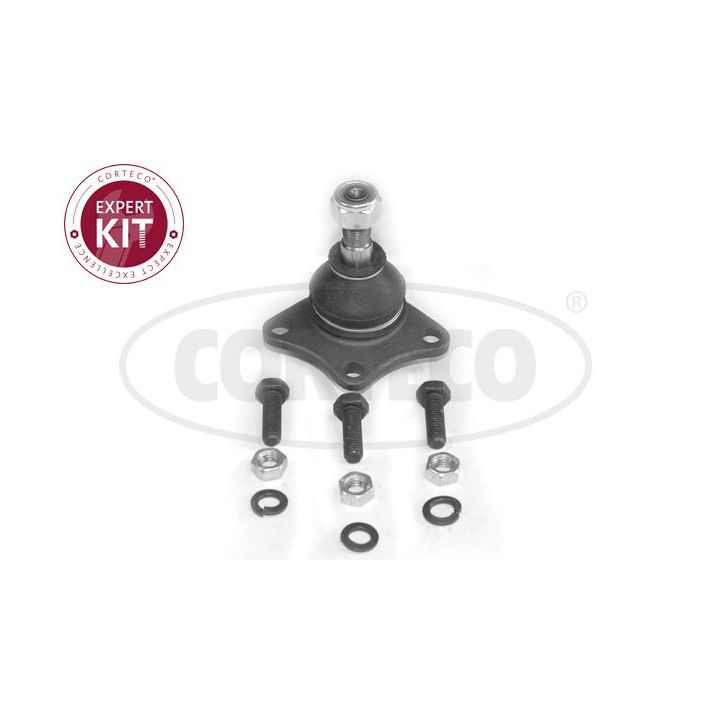 Šarnyras / girgždukas CORTECO 49395738