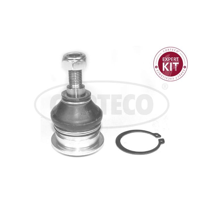 Šarnyras / girgždukas CORTECO 49395761