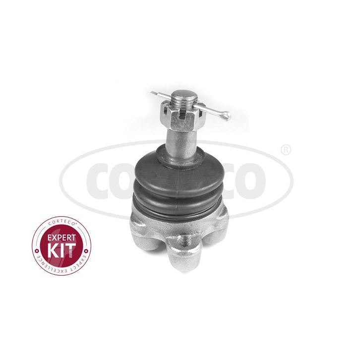 Šarnyras / girgždukas CORTECO 49395795