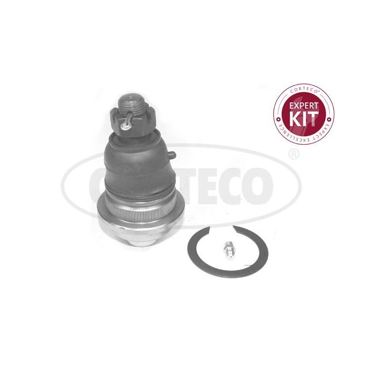 Šarnyras / girgždukas CORTECO 49395841