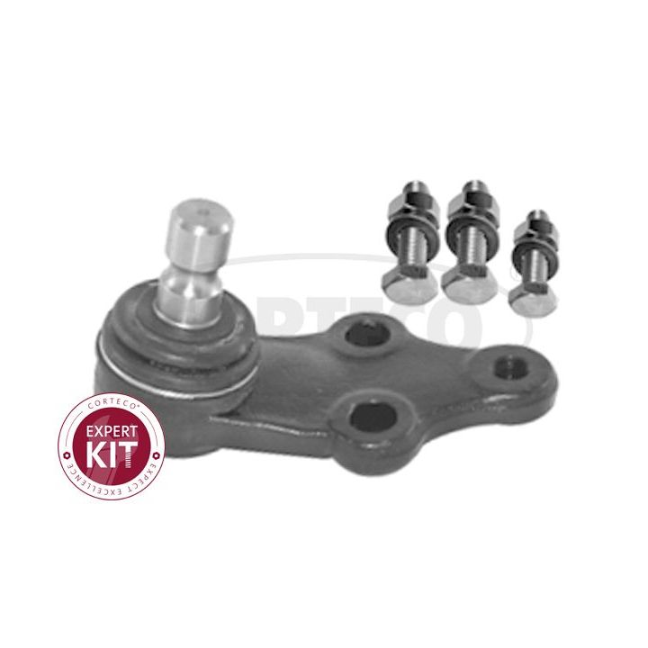 Šarnyras / girgždukas CORTECO 49395943