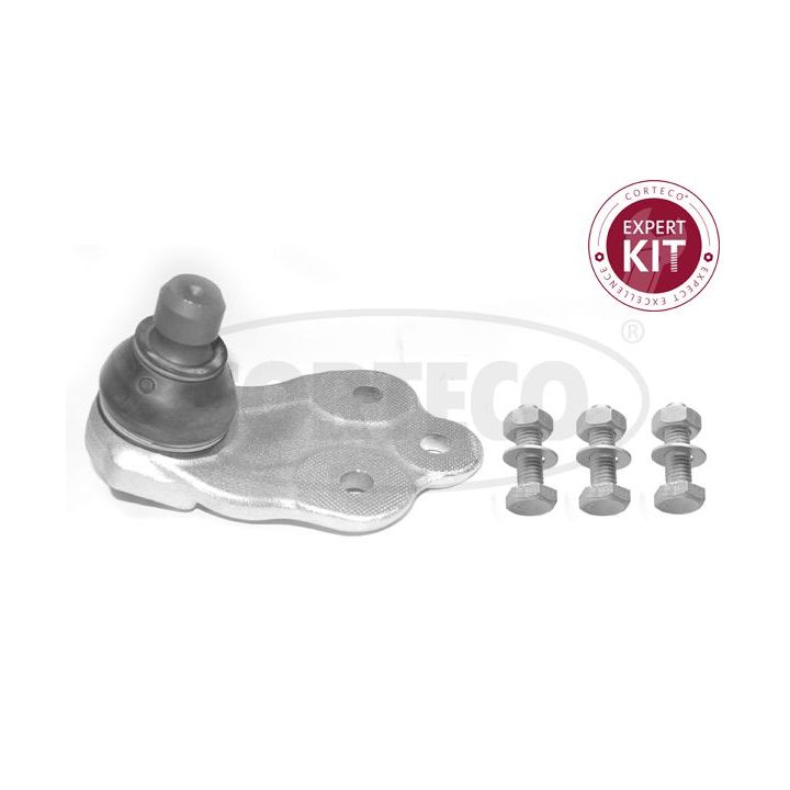 Šarnyras / girgždukas CORTECO 49395949