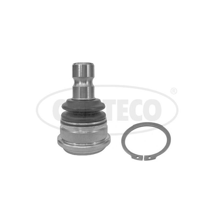 Šarnyras / girgždukas CORTECO 49395961