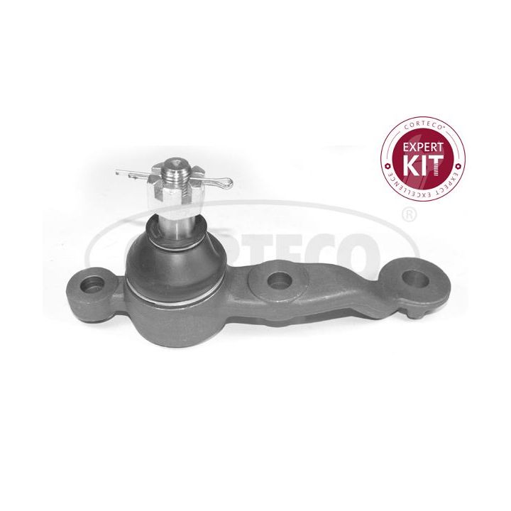 Šarnyras / girgždukas CORTECO 49396008