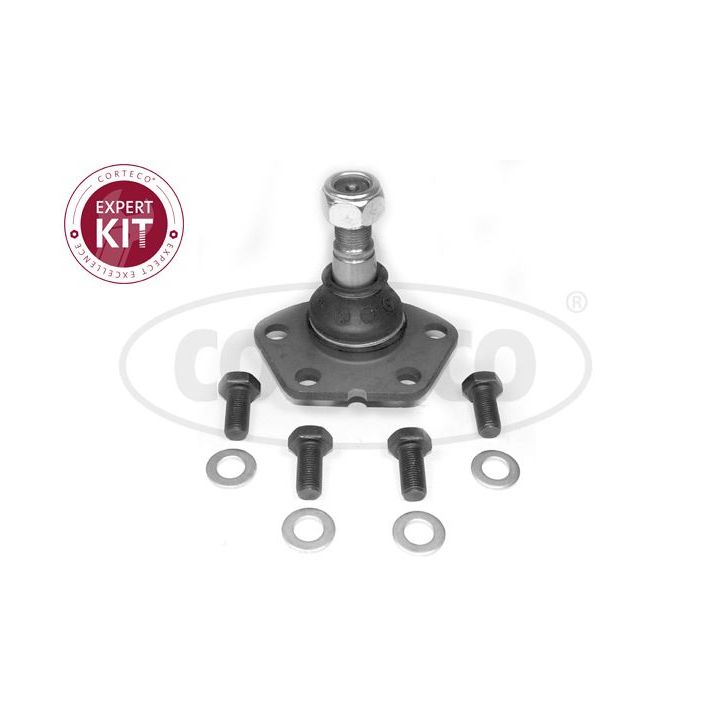 Šarnyras / girgždukas CORTECO 49398540
