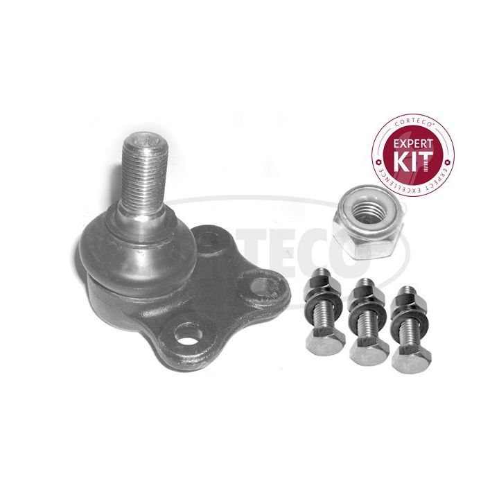 Šarnyras / girgždukas CORTECO 49398551