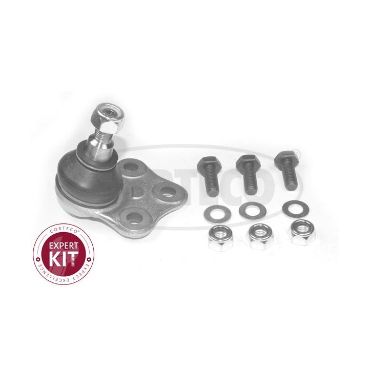 Šarnyras / girgždukas CORTECO 49398567