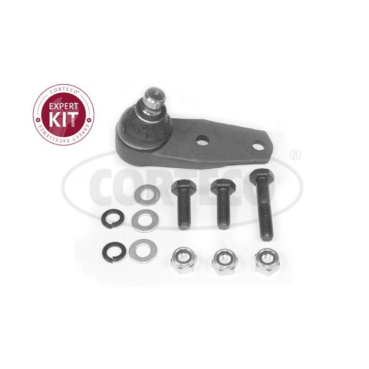 Šarnyras / girgždukas CORTECO 49398576