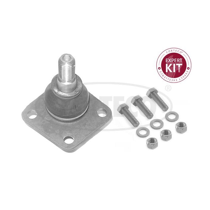 Šarnyras / girgždukas CORTECO 49398604