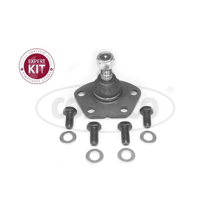 Šarnyras / girgždukas CORTECO 49398790