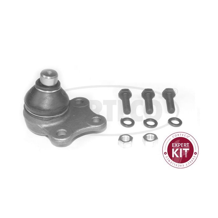 Šarnyras / girgždukas CORTECO 49398867