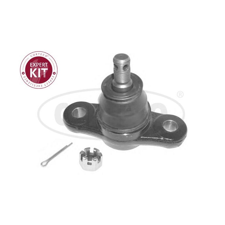 Šarnyras / girgždukas CORTECO 49398917