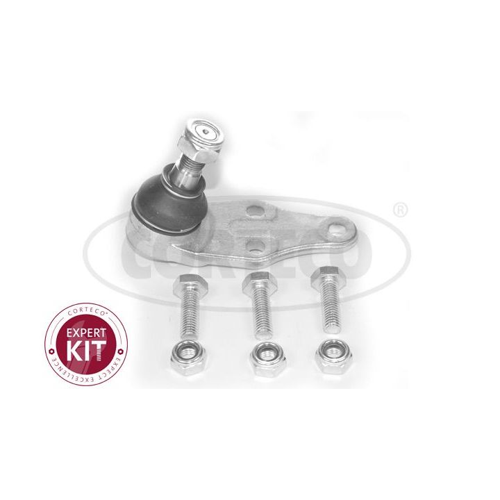 Šarnyras / girgždukas CORTECO 49399084