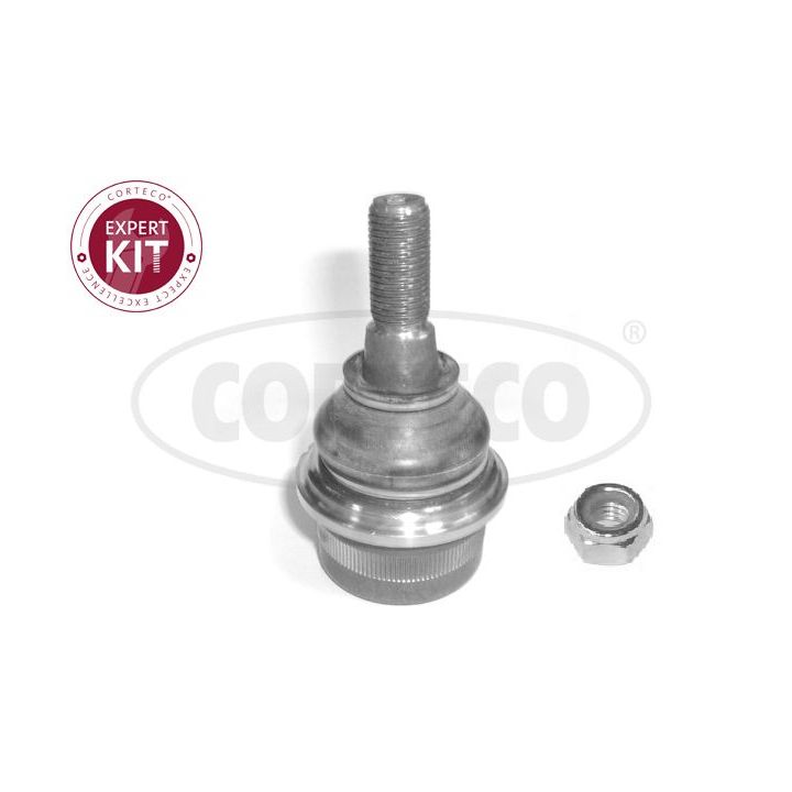 Šarnyras / girgždukas CORTECO 49399265