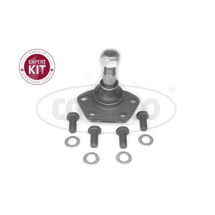 Šarnyras / girgždukas CORTECO 49399274